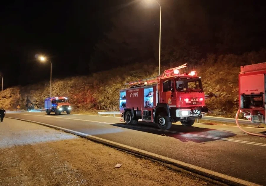 Μεγάλη επιχείρηση της Πυροσβεστικής για την πυρκαγιά στους Λιγκιάδες – ΦΩΤΟ 2 ligkiades