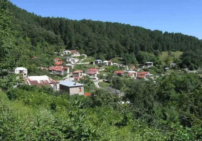 palaioseli