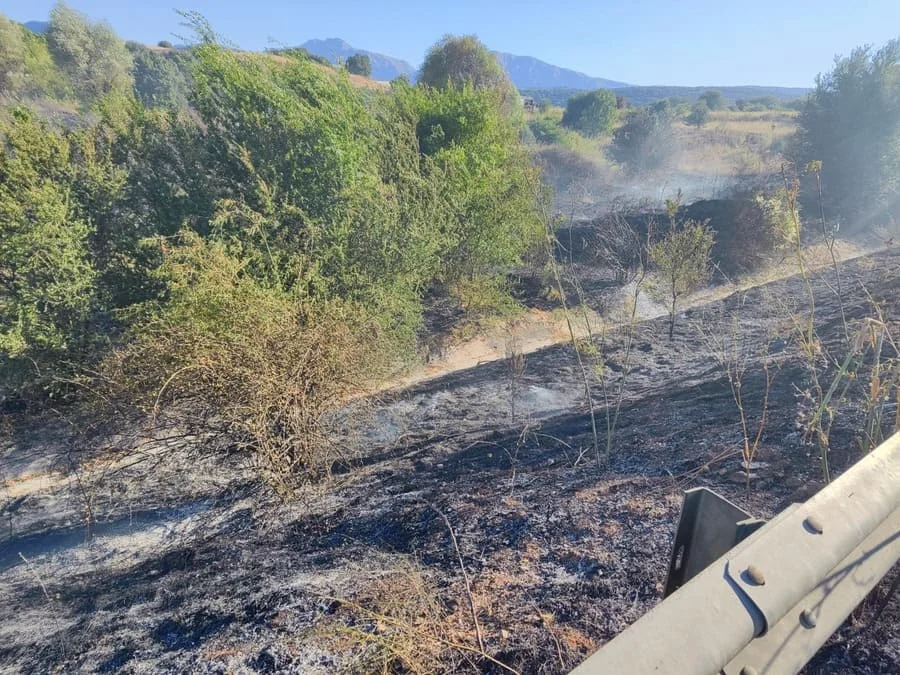 Νέα φωτιά στην Πεδινή, άμεση κινητοποίηση από την Πυροσβεστική 2 pedini nea fotia