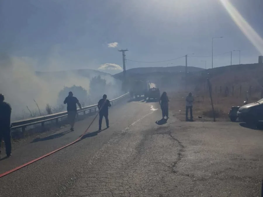 Νέα φωτιά στην Πεδινή, άμεση κινητοποίηση από την Πυροσβεστική 1 pedini nea fotia