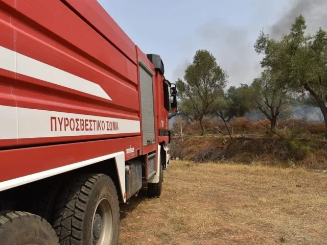 pirosvestiko fotia geniki