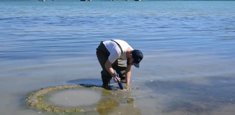 programma amvrakikos