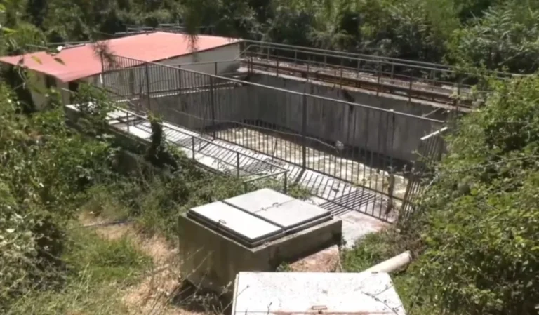 viologikos xatzikosta