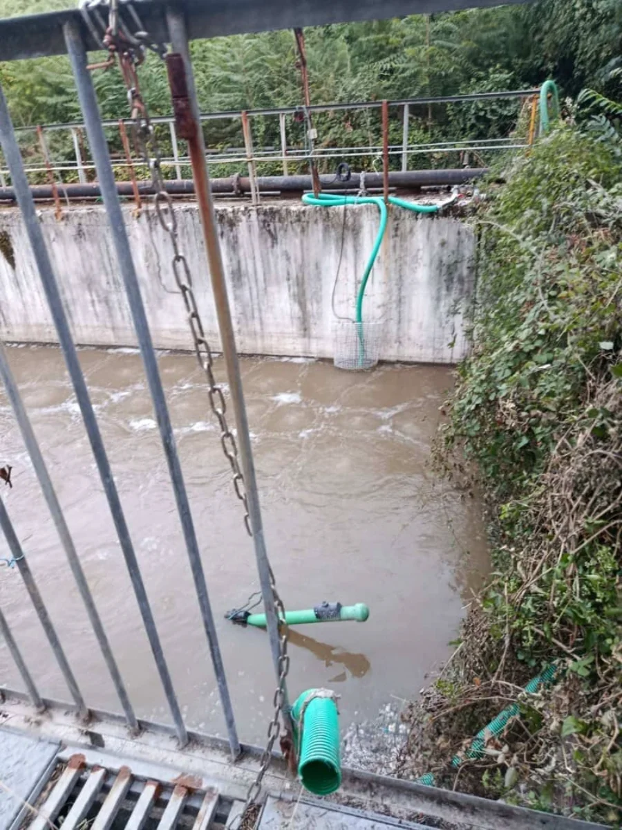 viologikos xatzikosta