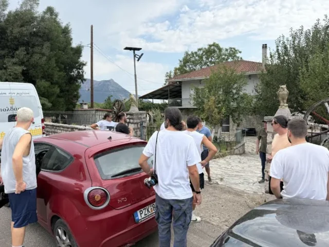 etelolntes piroplikta