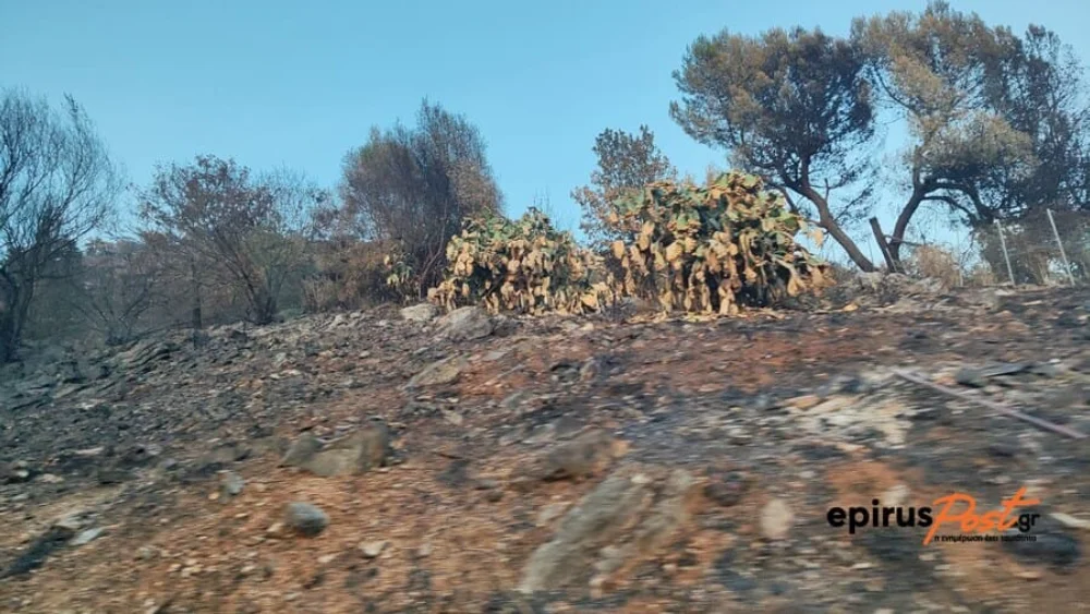 Στάχτες, απόγνωση και μυρωδιά καμένου γεμίζουν τα χωριά του Ζηρού 1 kamena ziros