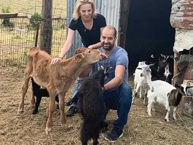 mageirias semertzidou