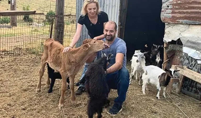 mageirias semertzidou