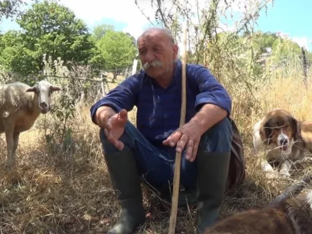 sarakatsanos ktinotrofos