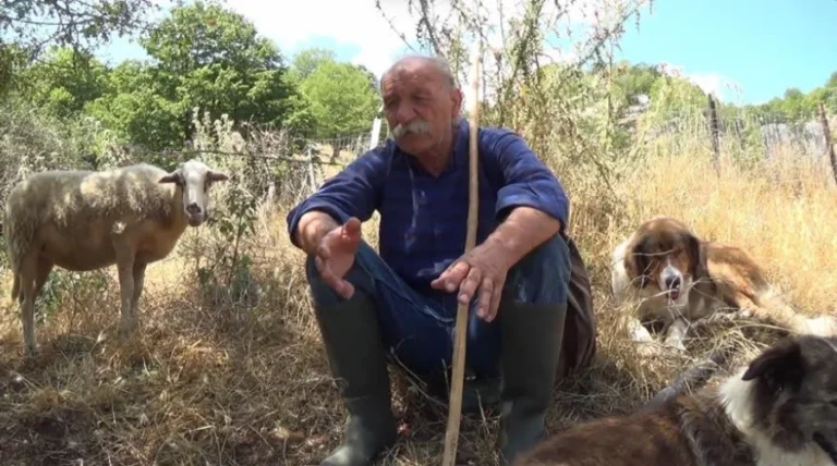 sarakatsanos ktinotrofos