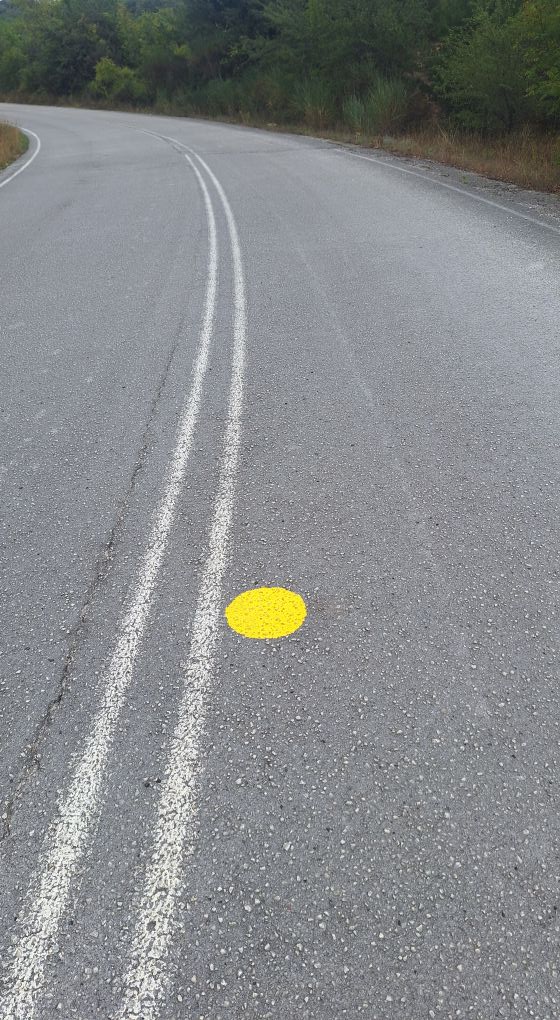 κιτρινεσ ωοθλεσ