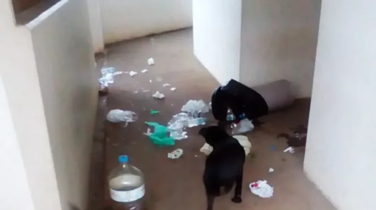 adespota nosokomeiao