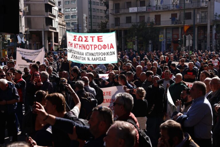 agrotes silallitirio