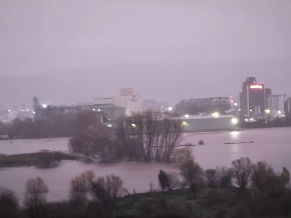 egnatia pedini plimmira