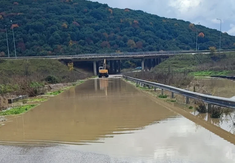 paraegnatia koutselio