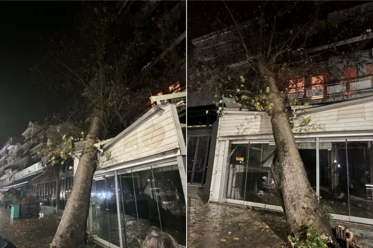 platanos igoumenitsa