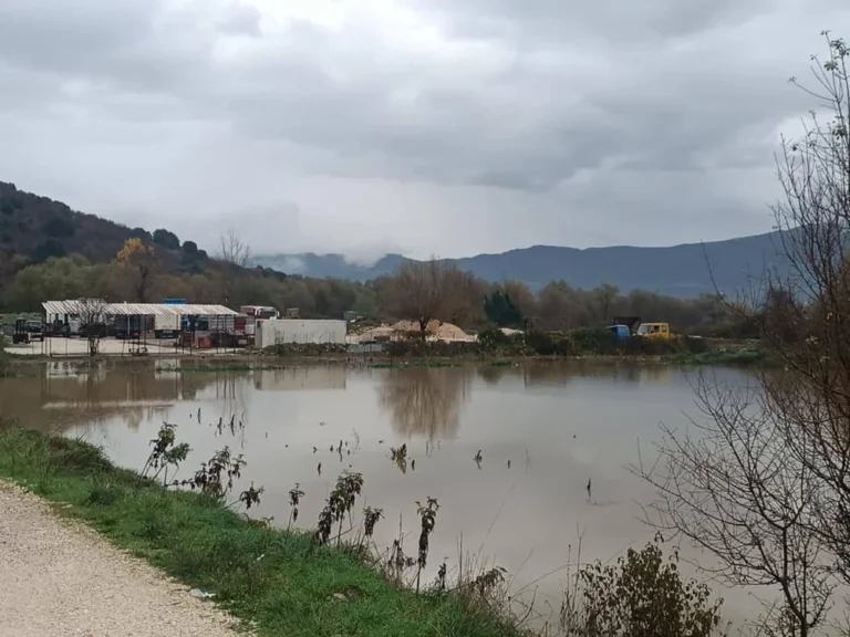 plimmira lekanopedio