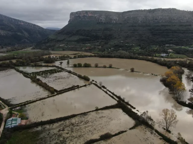 plimmires thesprotia