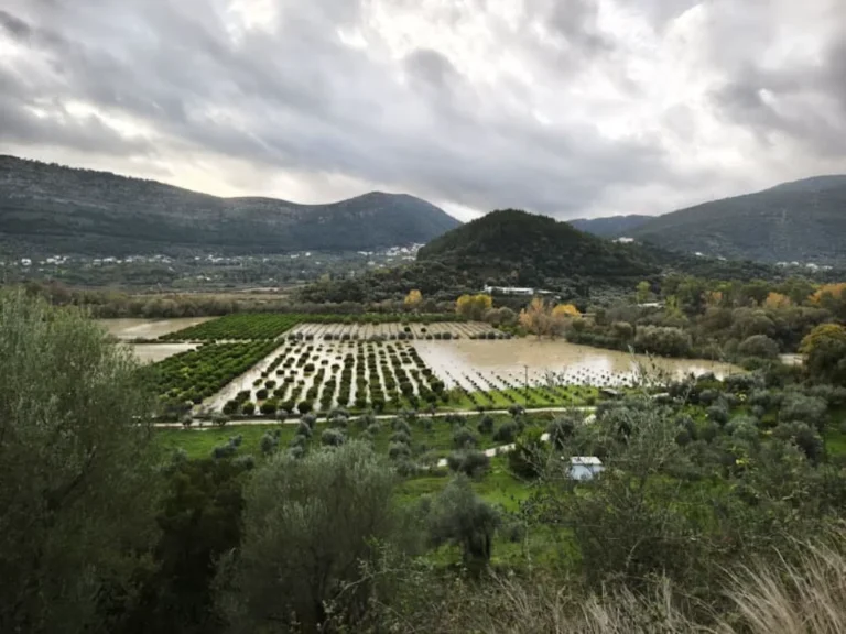 plimmires thesprotia