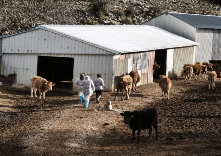 elegxoi opekepe ligkiades