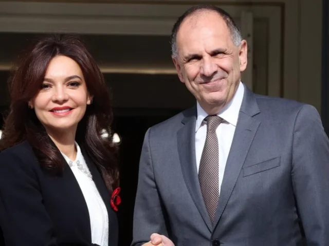 gerapetritis alvanida