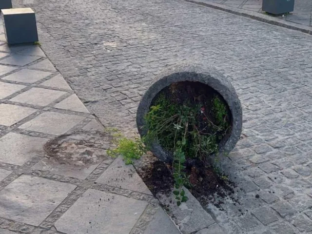 glastra aneksartisias