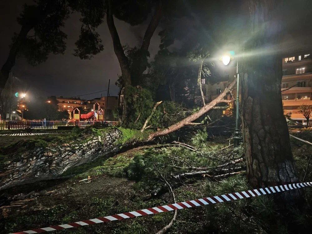 dentro parko girokomeio