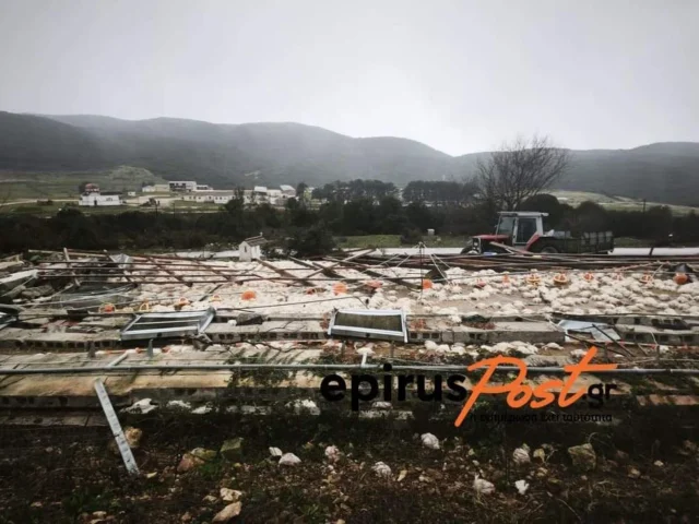 kalpaki ptinotrofeio