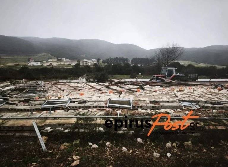 kalpaki ptinotrofeio