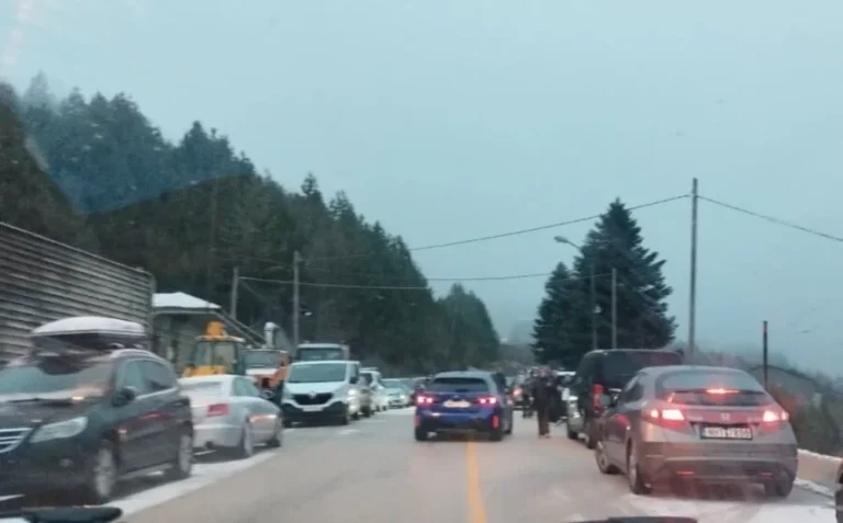 metsovo milia xiooni