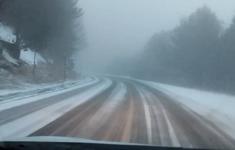 metsovo milia xiooni