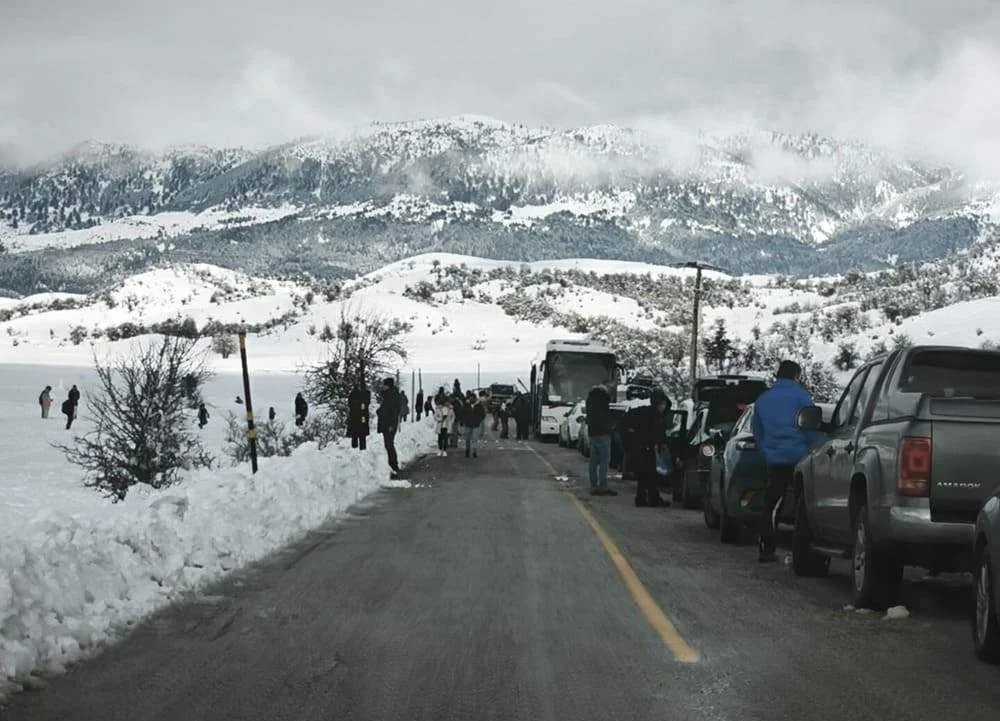 metsovo leoforeia xeimonas