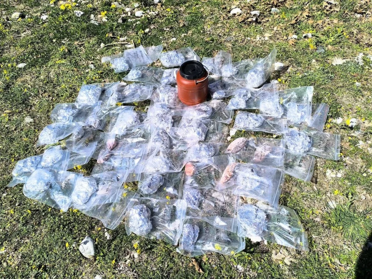 Περιβαλλοντικό έγκλημα στον Γράμμο- 150 δηλητηριασμένα δολώματα «έσπειραν» τον θάνατο στην Αετομηλίτσα 1 grammos dolomata