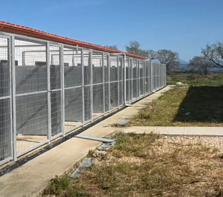 katafigio neoxori ()