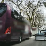 leoforeia paralimnios