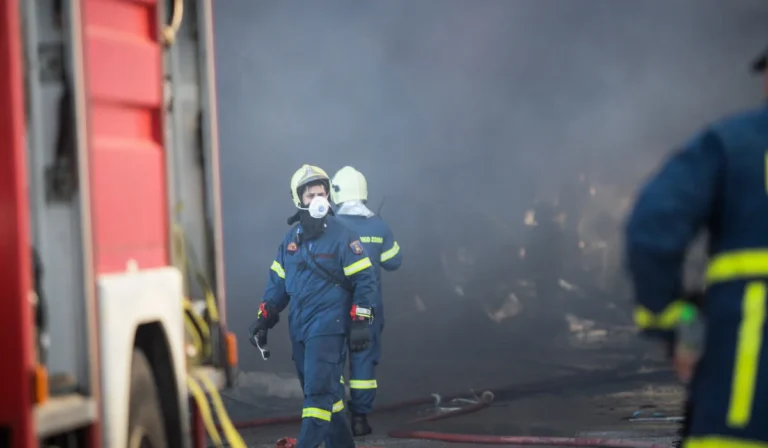 pirosvestiki katasvessi