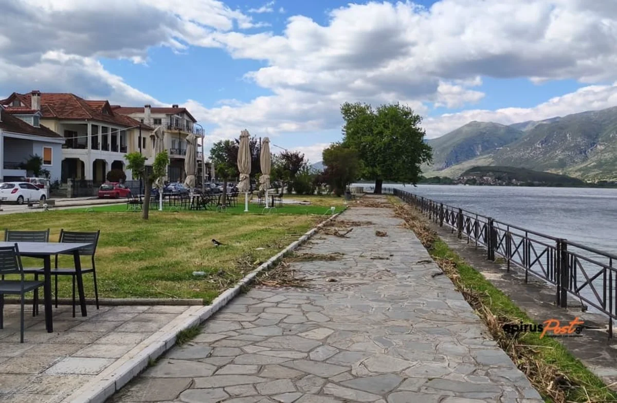 psaria nekra l