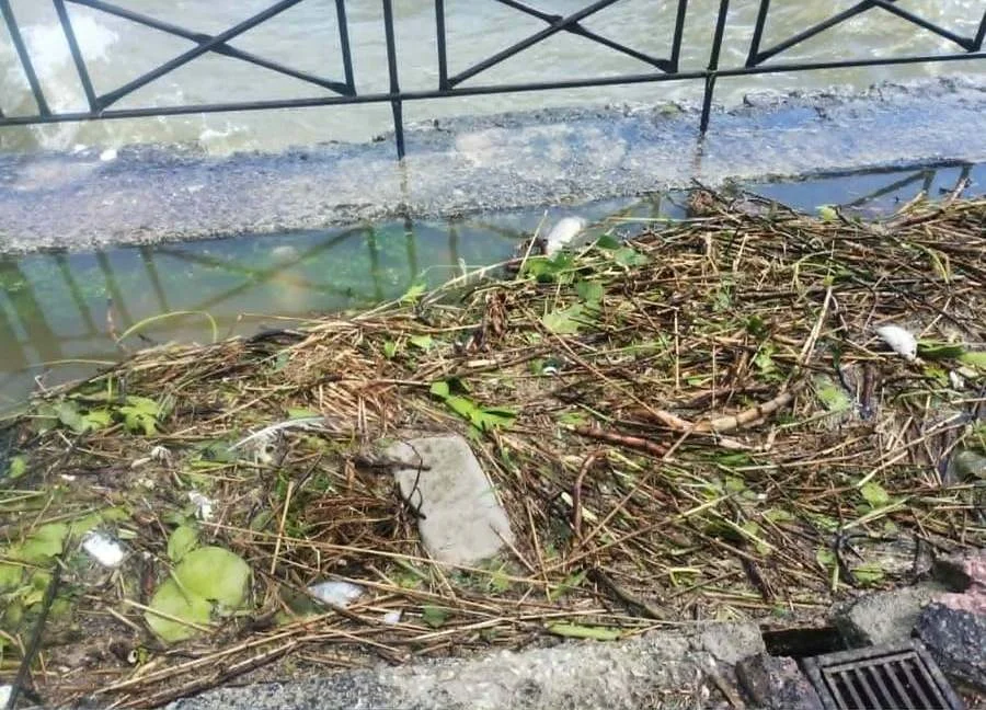 psaria pezodromos