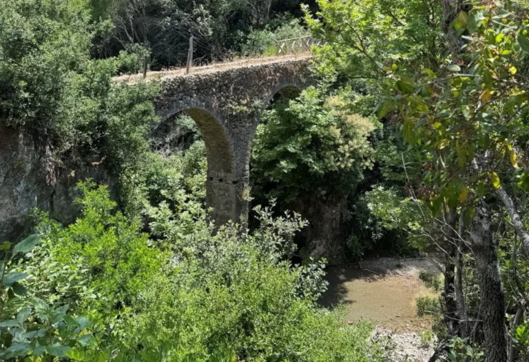 monopati perdika