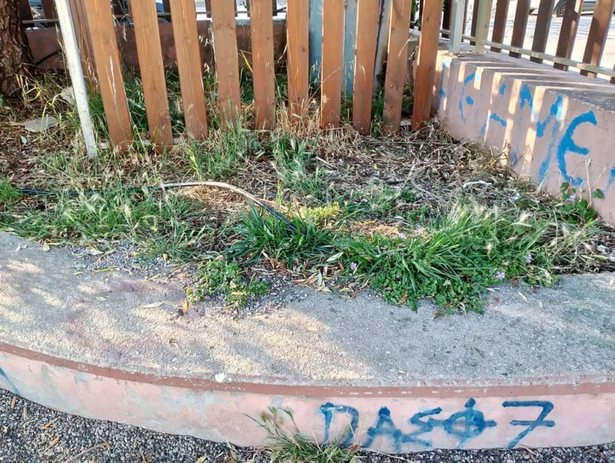 Εγκατάλειψη, φθορές και χόρτα στην παιδική χαρά του Βοτανικού 3 paidiki votanikos