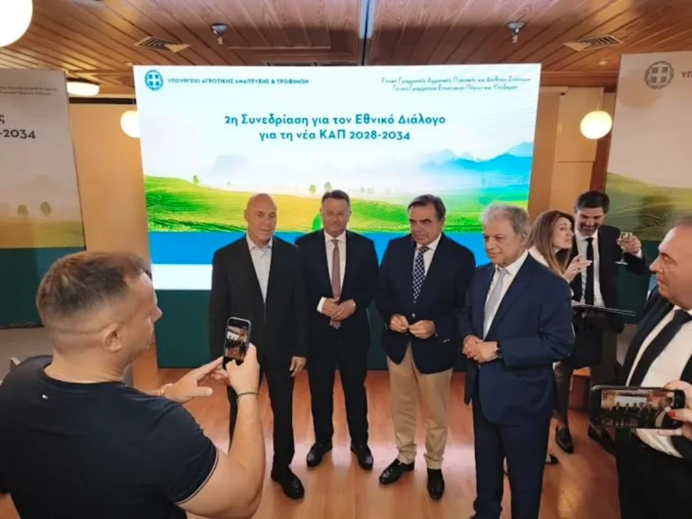 sxoinas metsovo