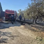 vlaxerna