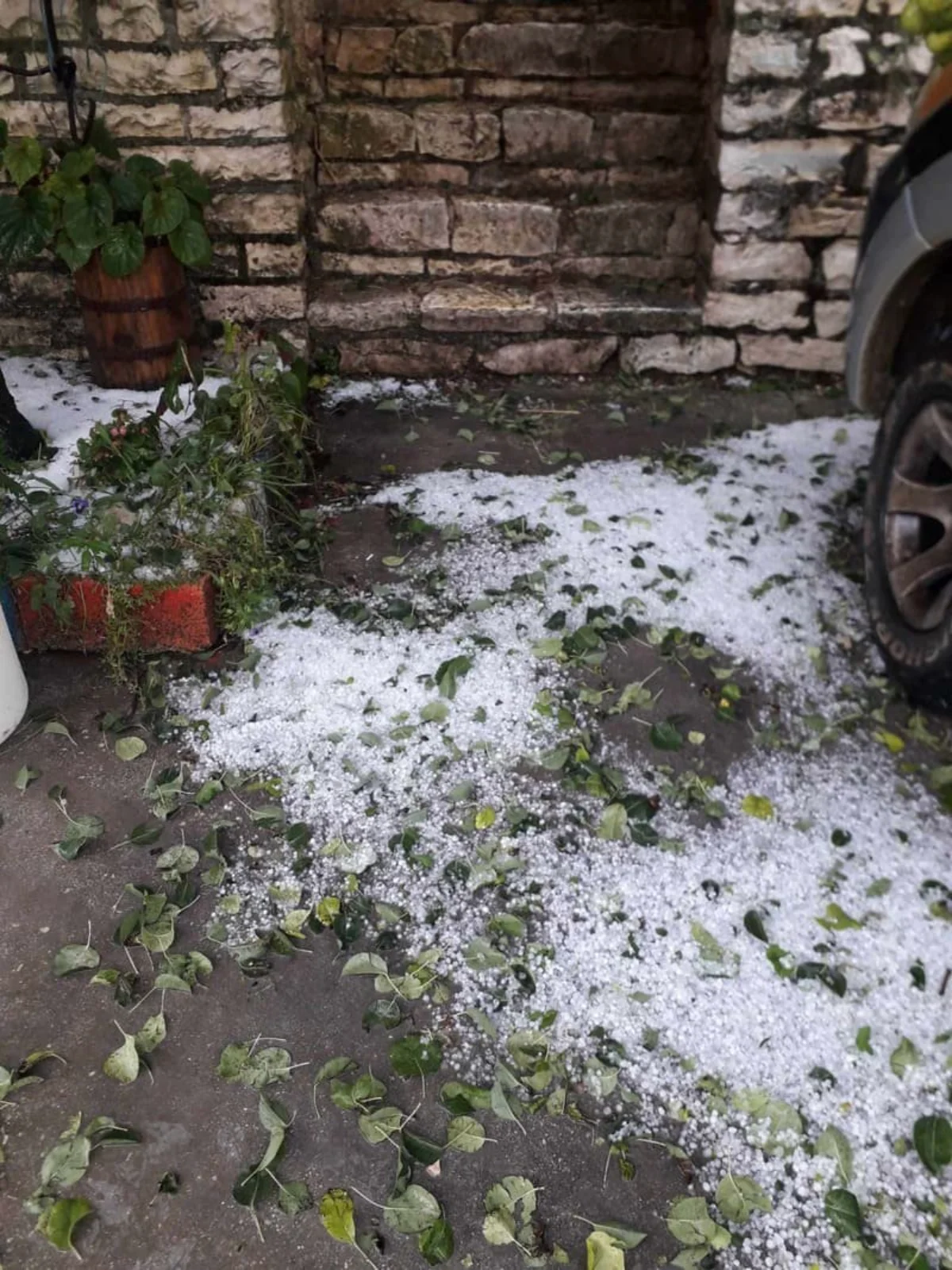 xalazi laka suli