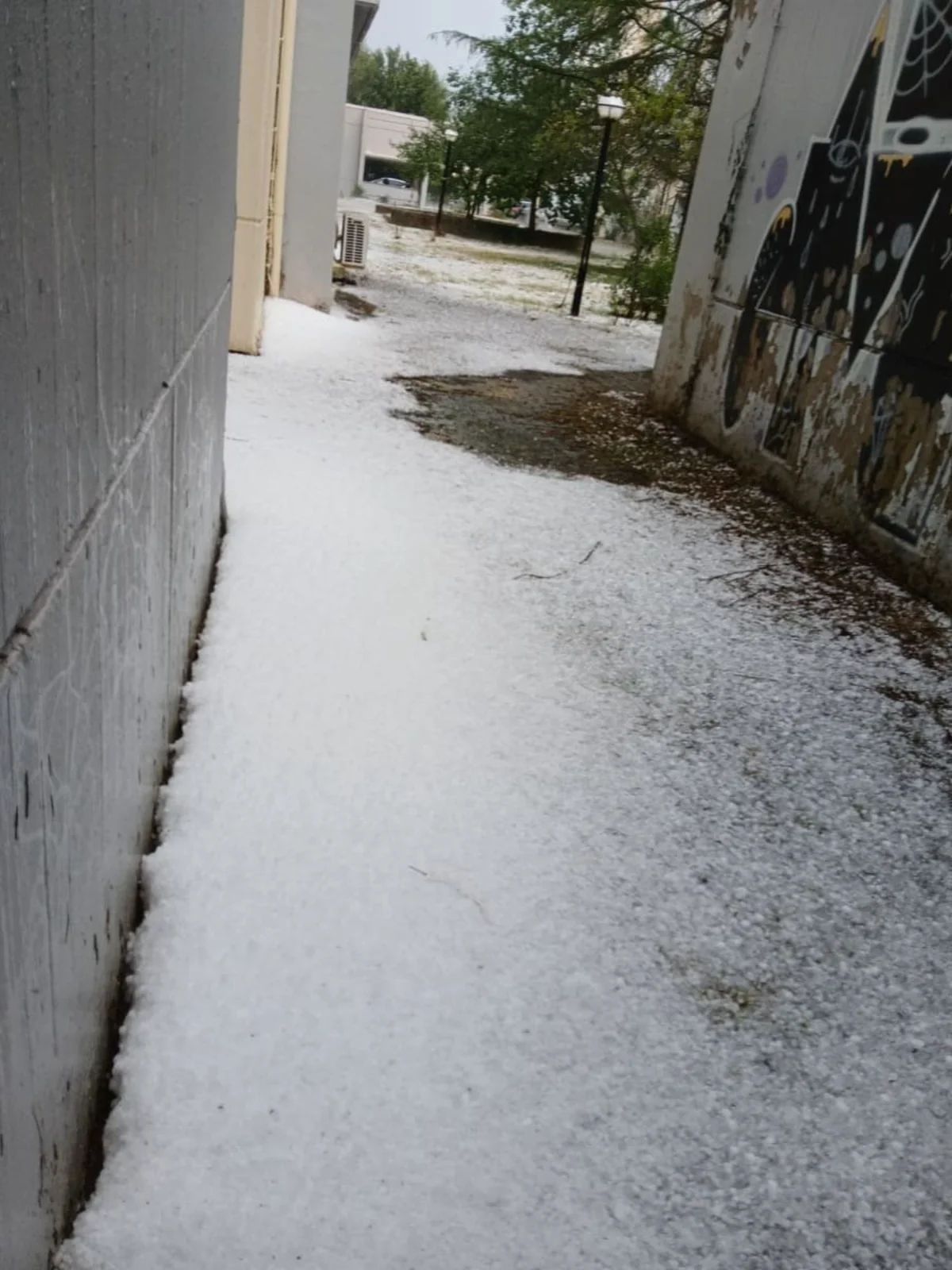 Σφοδρή χαλαζόπτωση στην Πεδινή – Ζημιές σε καλλιέργειες και πανικός σε Πανεπιστήμιο και Νοσοκομείο ΦΩΤΟ- ΒΙΝΤΕΟ 3 xlazi
