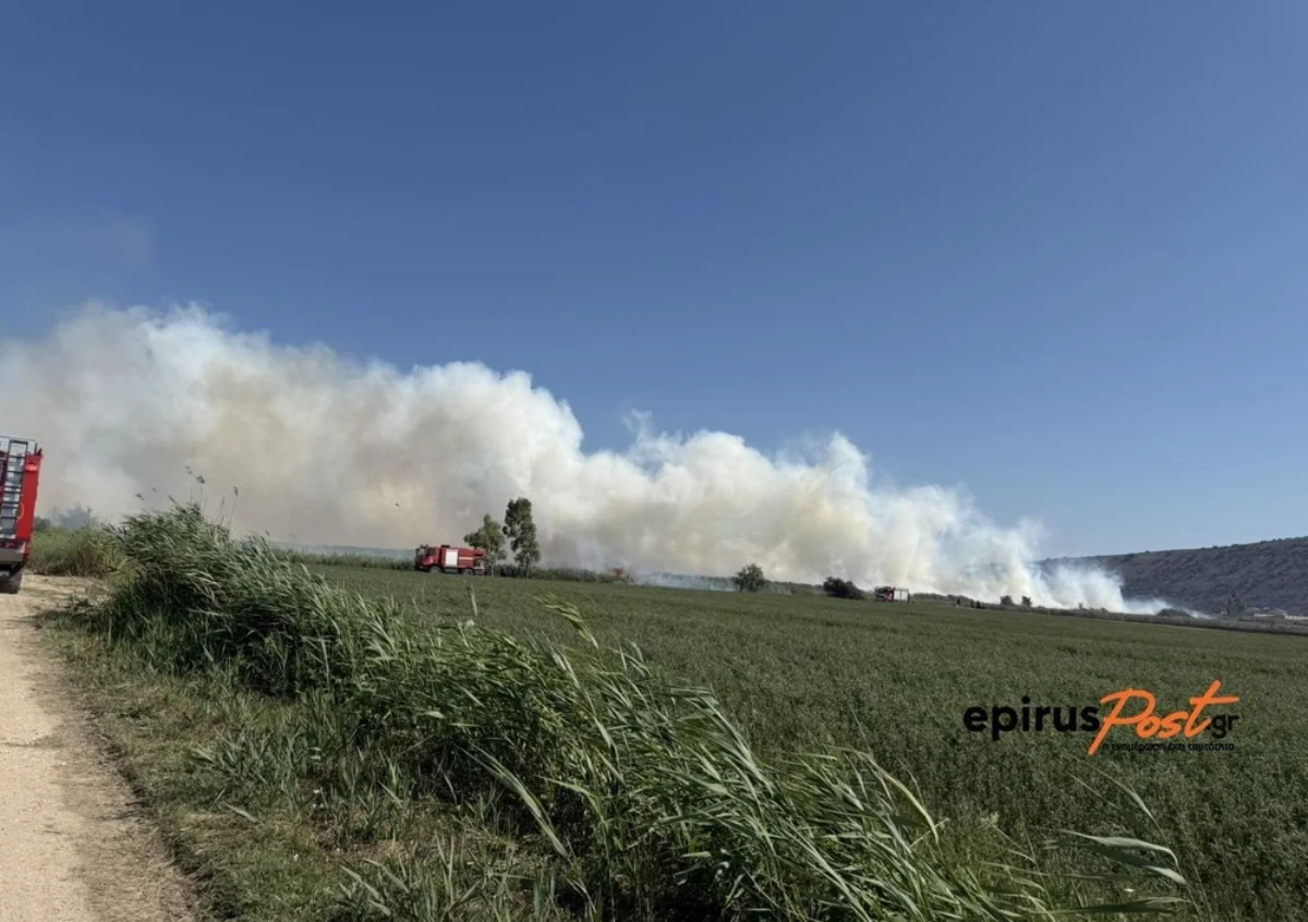 Μεγάλη πυρκαγιά στην Άρτα.. Ισχυροί άνεμοι «άπλωσαν» το μέτωπο- Εικόνες 1 agios spirodon fotia