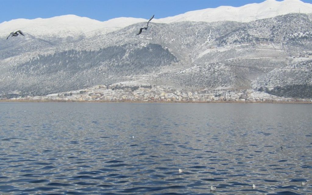 GIANNENA XIONI IANOYARIOS4