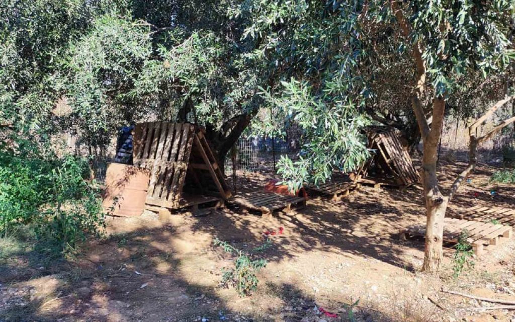 adespota ziros gia proti