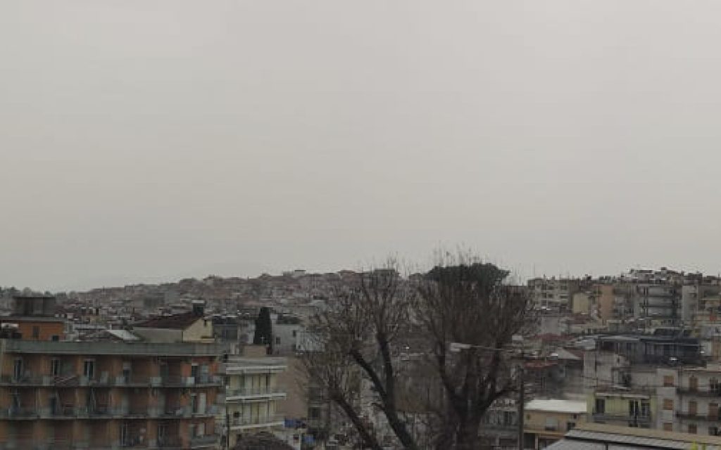 afrikaniki skoni1