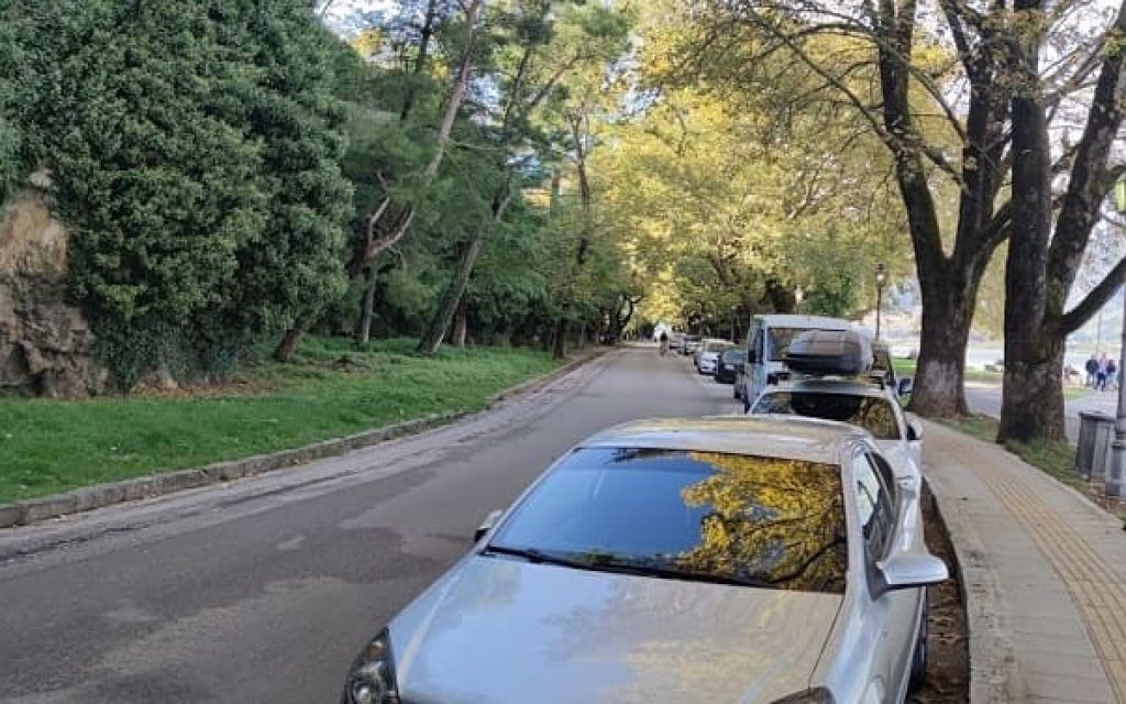 aftokinita paralimnios