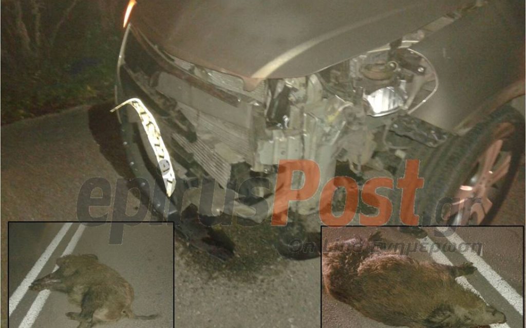 agrigourouno troxaio